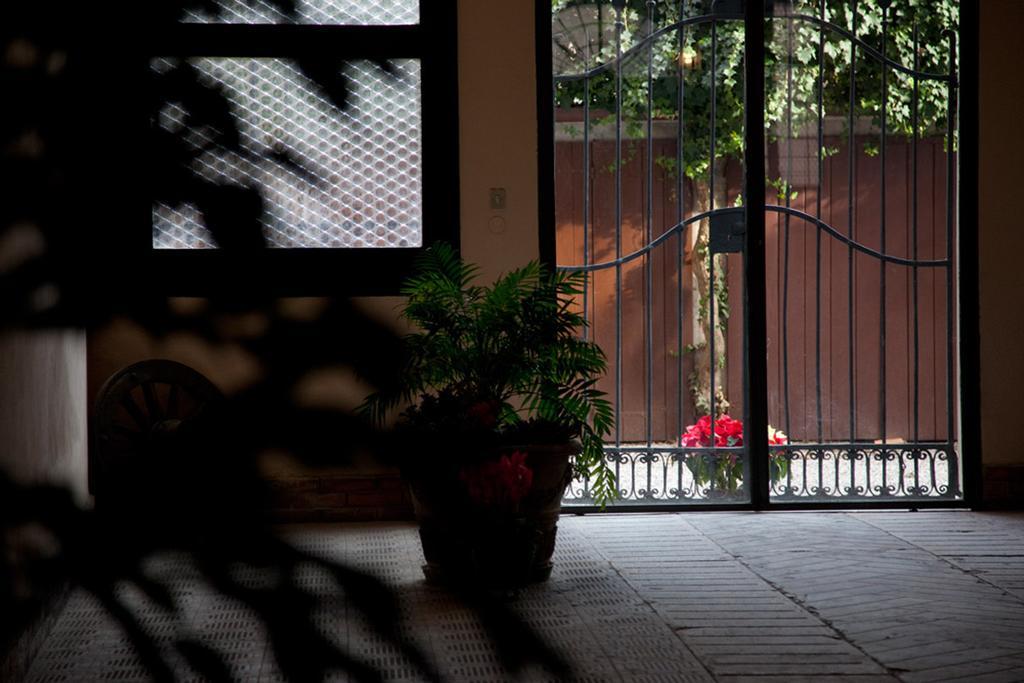 Le Case Cavallini Sgarbi Di Rina Cavallini Ferrara Kültér fotó
